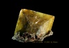 Wulfenite