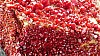 Thumbnail of P1160058.JPG